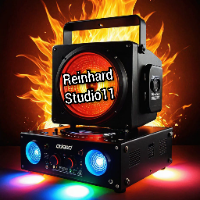 ReinhardStudio11